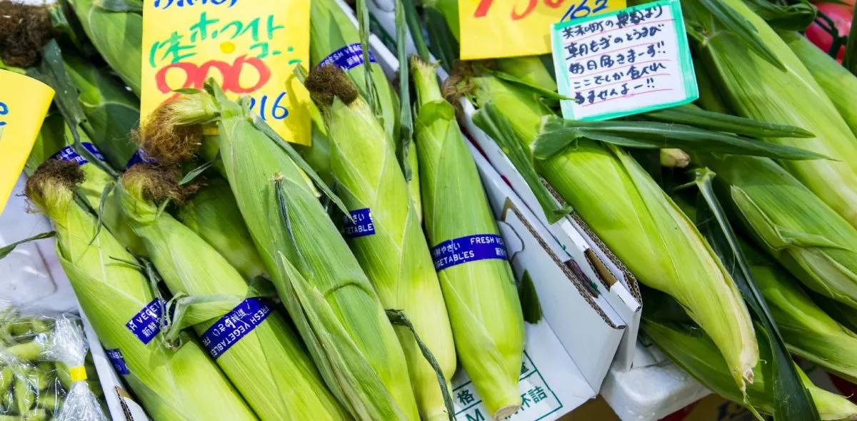 杉本青果